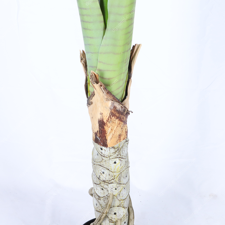 Plastic Foliage Topiary Natural Trunk Handmade Artificial Alocasia Cucullata Tree