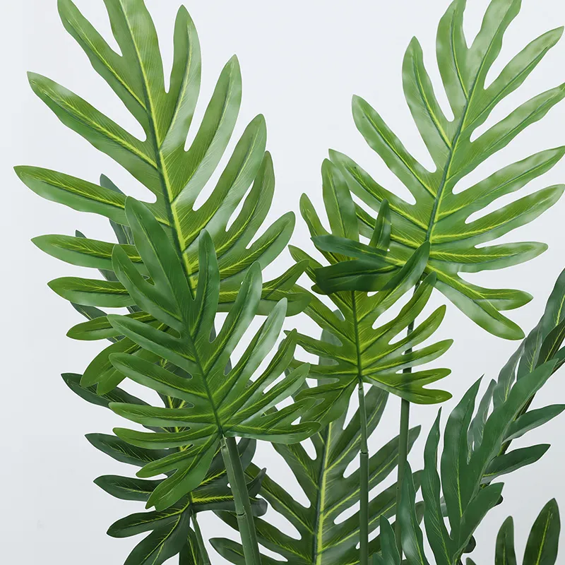 Taro Leaves Detail 6