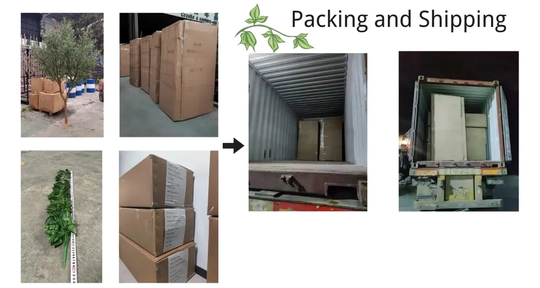 Packaging and Shipping Process