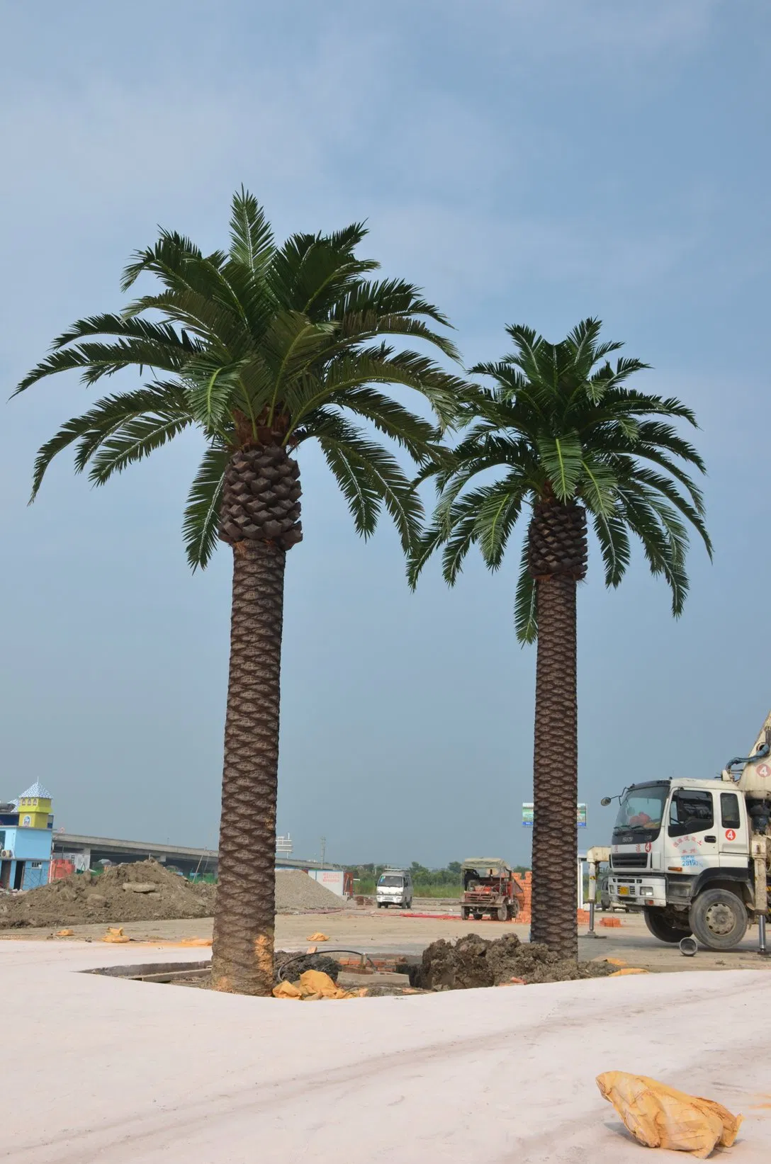 Custom Tropical Faux Big Outdoor Tree 3-15m Large Artificial Coconut Palm Tree