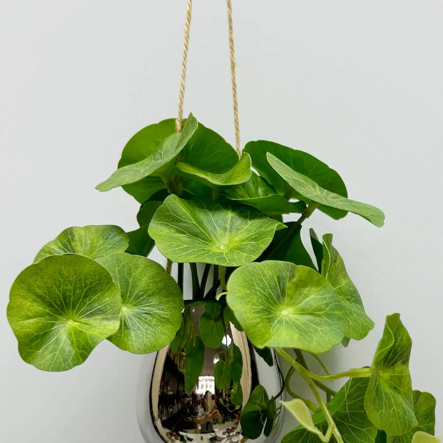 Home Decoration Artificial Evergreen Plant in Hanging Electroplate Ceramic Pot