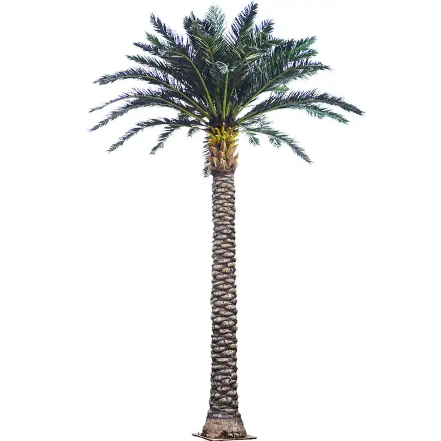 Arboles Grandes Artificiales Outdoor Artificial Palm Trees Faux Date Tree
