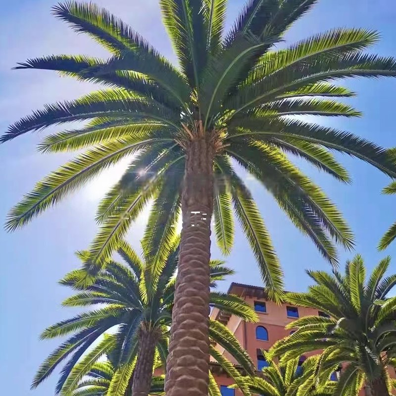 Large Outdoor Artificial Date and Coconut Palms Tree Durable Stylish Fire Retardant Faux Plants Stylish Outdoor Decoration