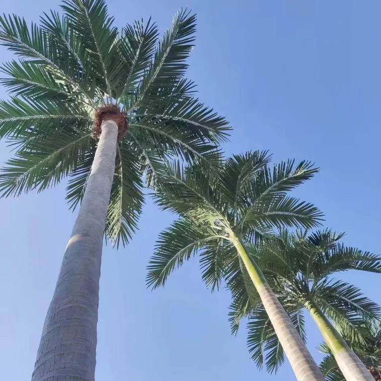 Artificial Palm Tree View 6