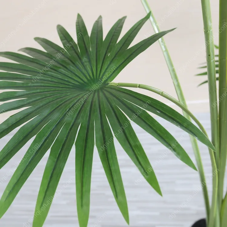 Simulation Fan Palm Trees Detail 4