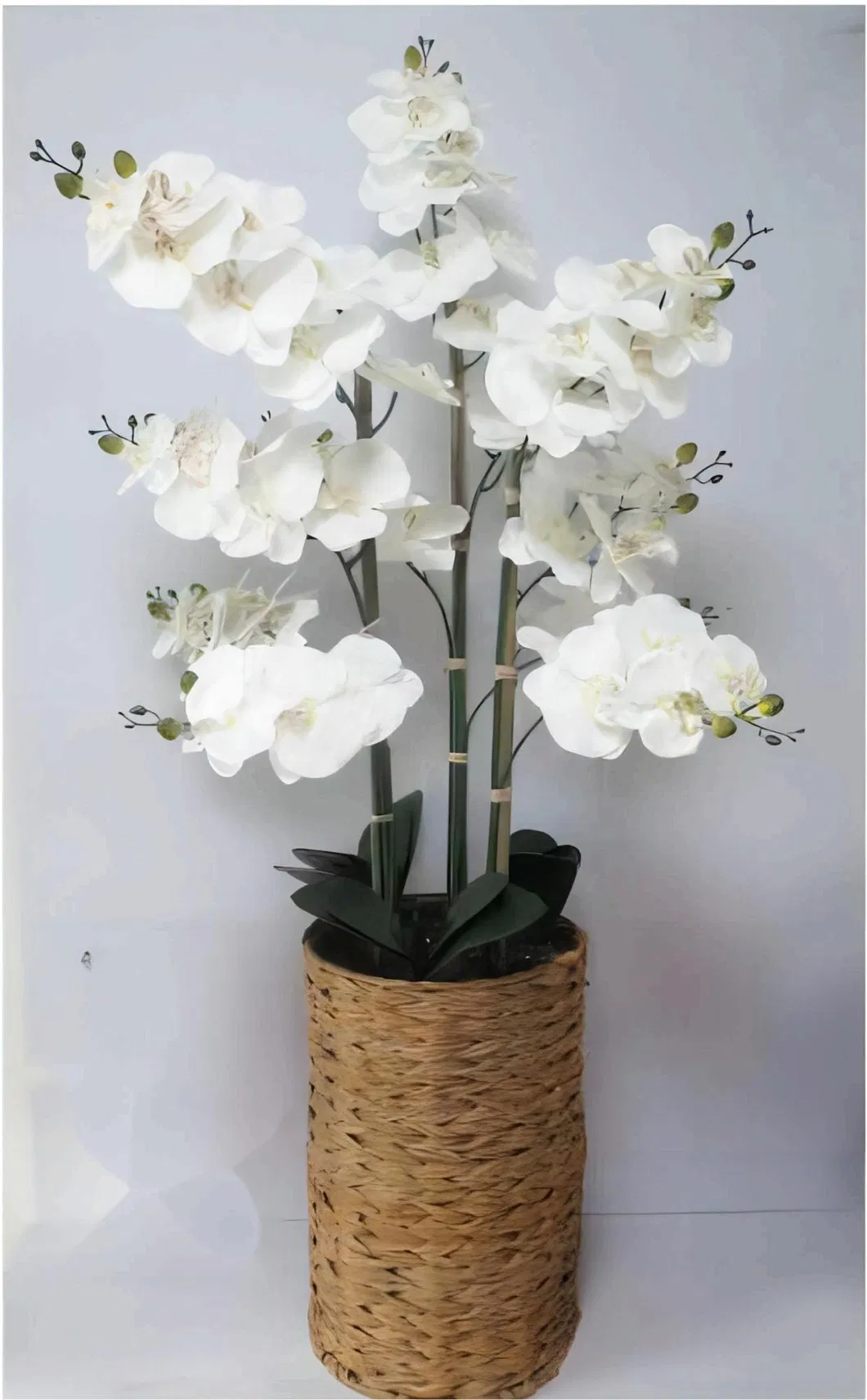 Silk Orchid Decor