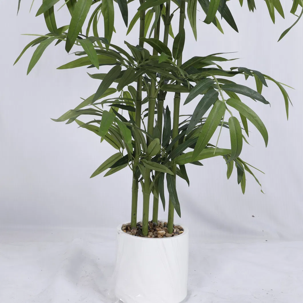 Bamboo Product View 4