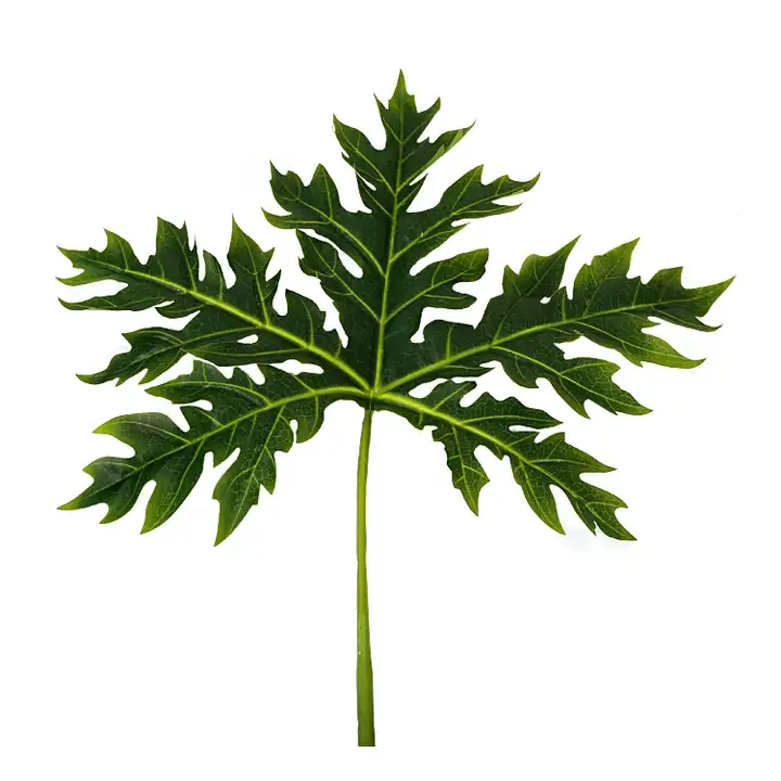 High Quality Artificial Indoor Plastic Artificial Bonsai Plants Papaya Tree