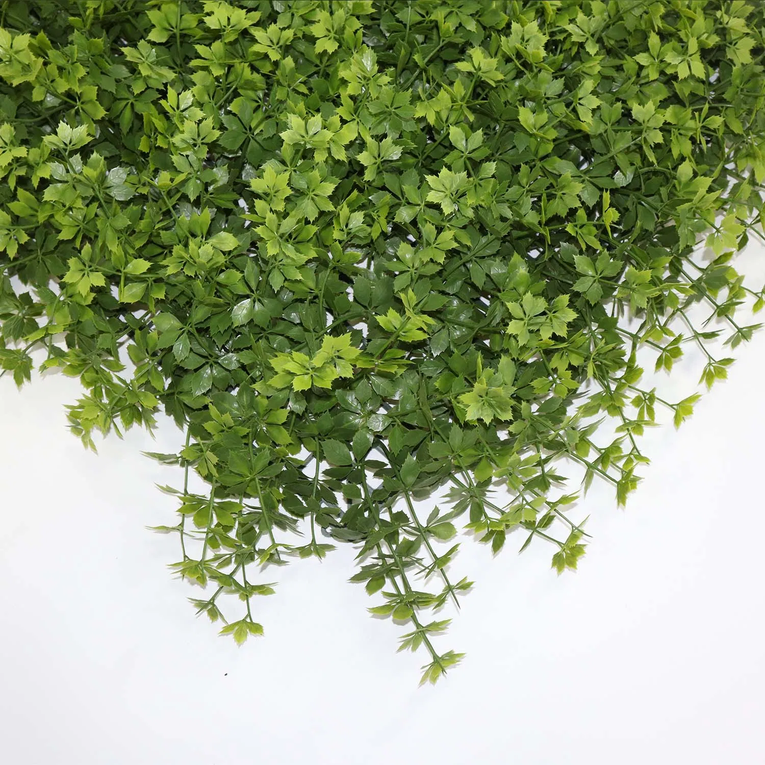 Artificial Grass Wall Boxwood Hedge Panels Plastic Creeper Leaves Artificial Green Wall Moss System for Decoration