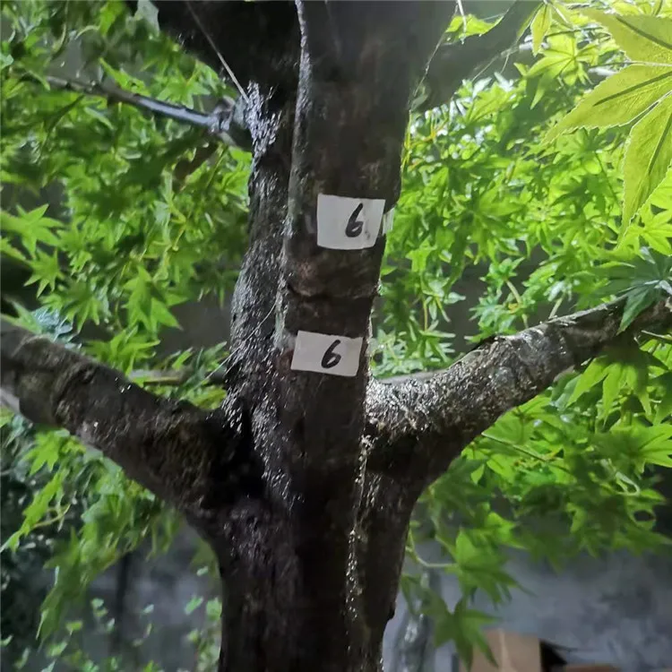 Maple Tree Interior 2