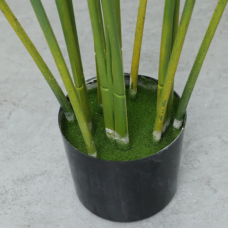 Taro Leaves Detail 5