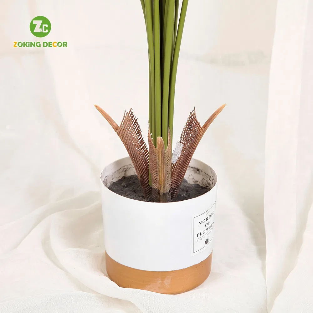 Zc Hot Sale Small Artificial Palm Trees Bonsai Decorative Indoor Plastic Trunk