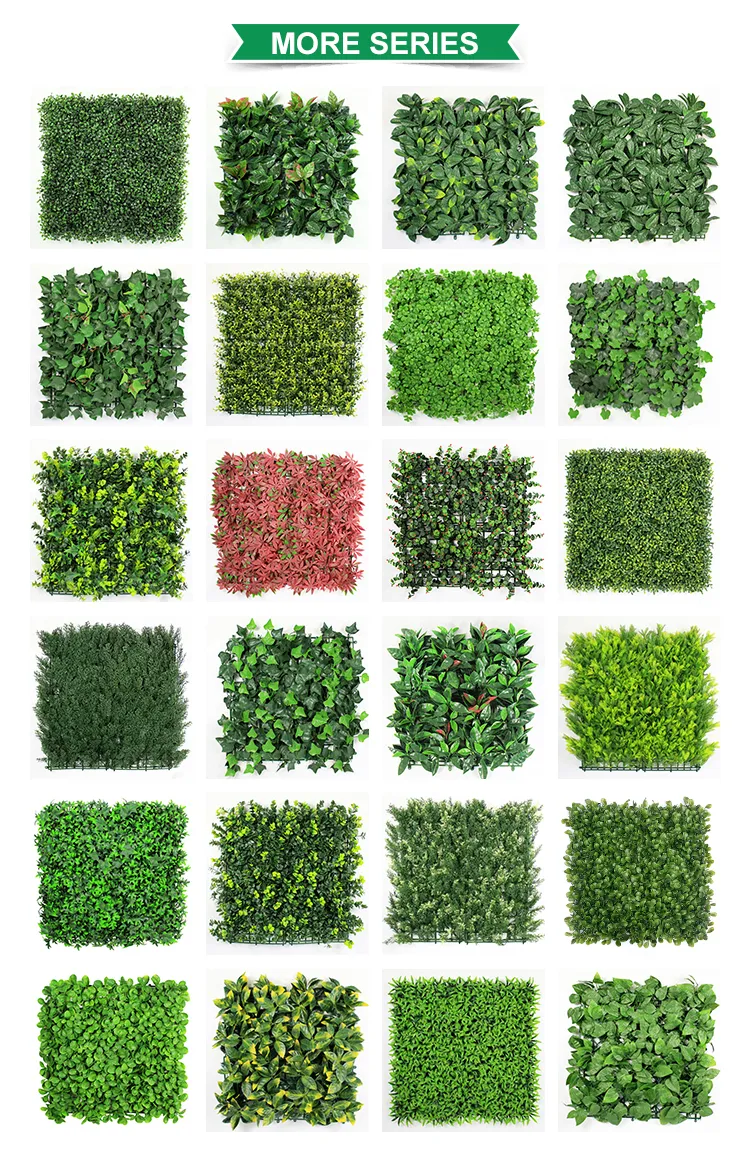 More Product Categories