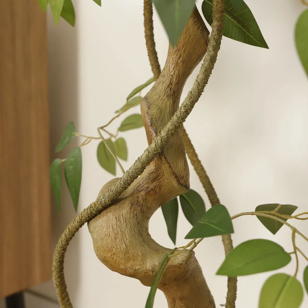 Ficus detail 5