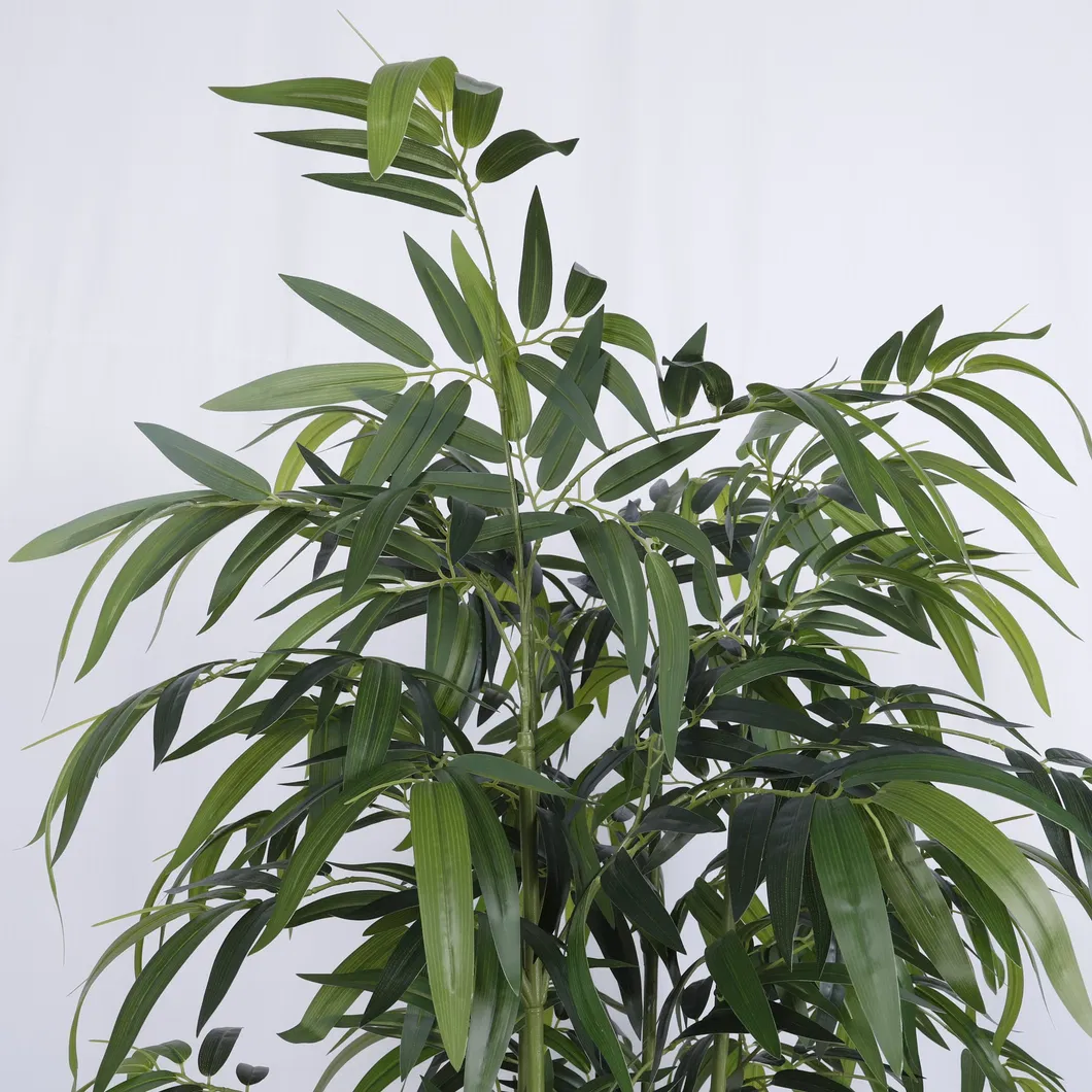 Bamboo Product View 3