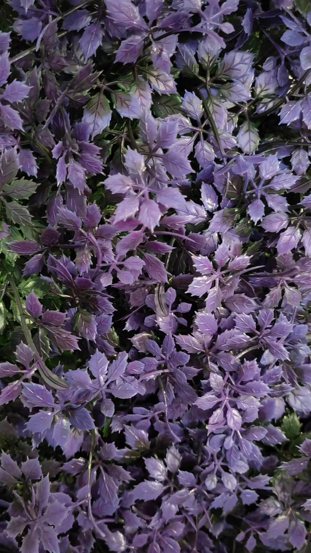 UV Protected Faux Boxwood Plastic IVY Foliage Artificial Vertical Privacy Garden Green Wall Panel