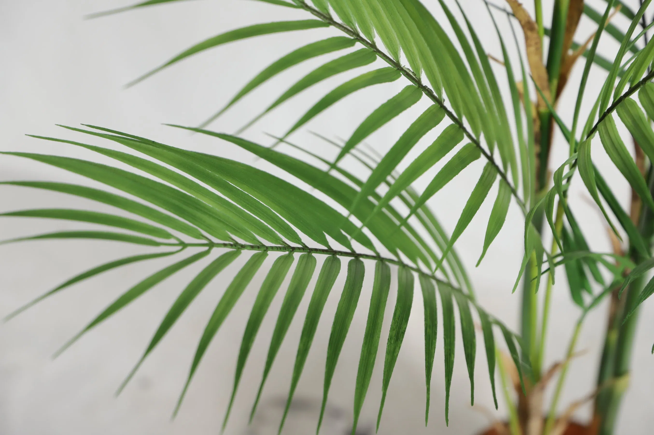 Indoor Decor Realistic Plants Landscaping Artificial Tree Bonsai Artificial Palm Tree