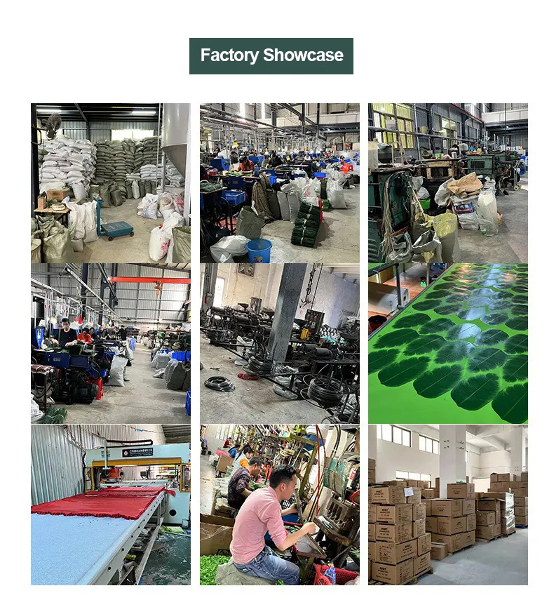 Maintenance Free Plant