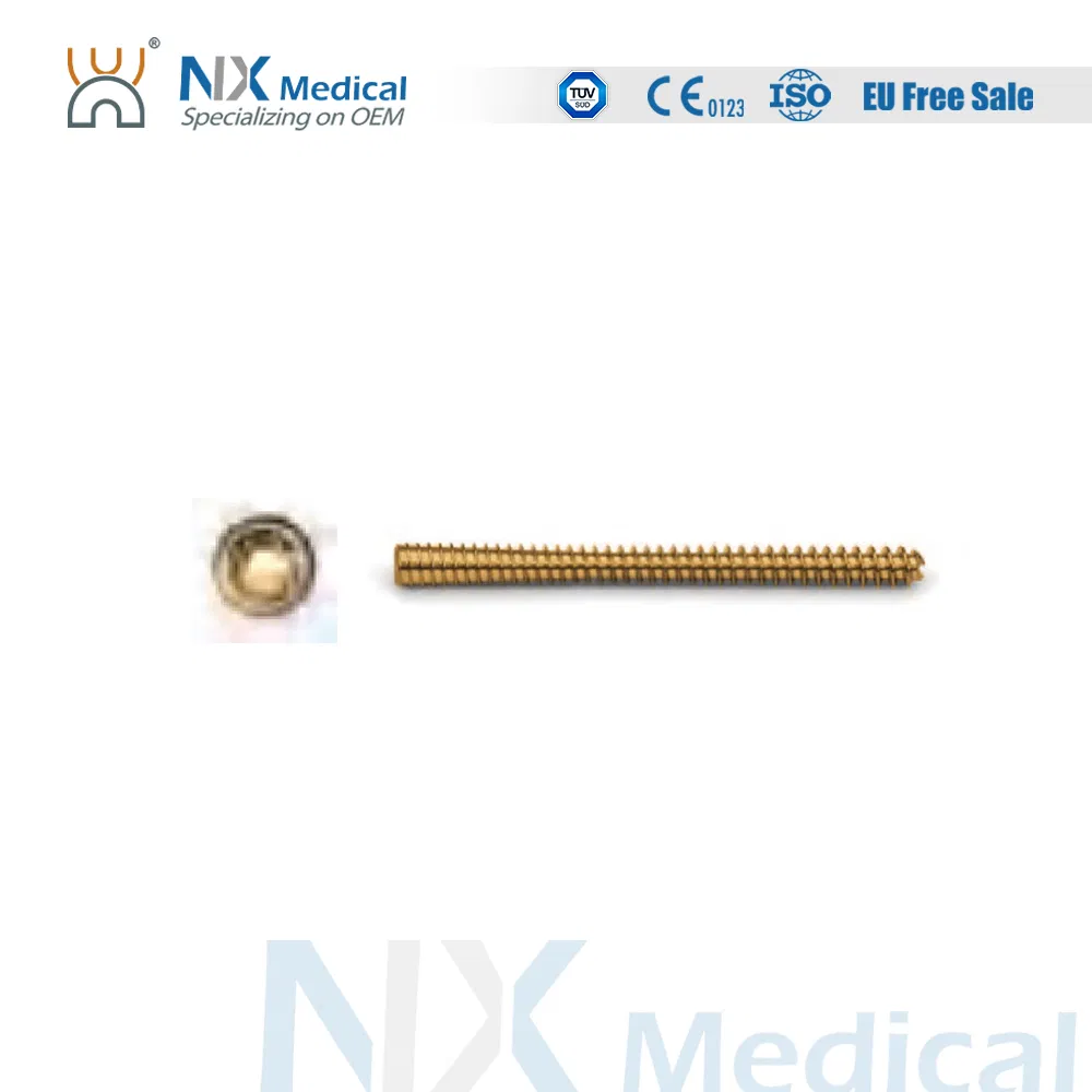 Orthopedic Implant Cannulated Headless Compression Screw - II Metallic Bone Screws