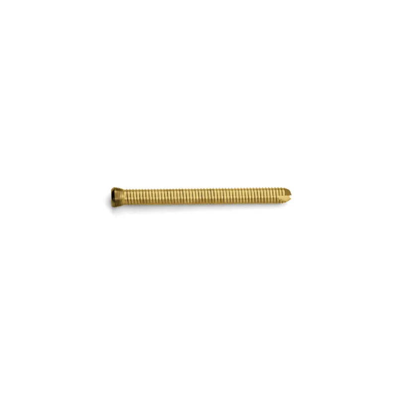 Orthopedic Surgical Medical Implant