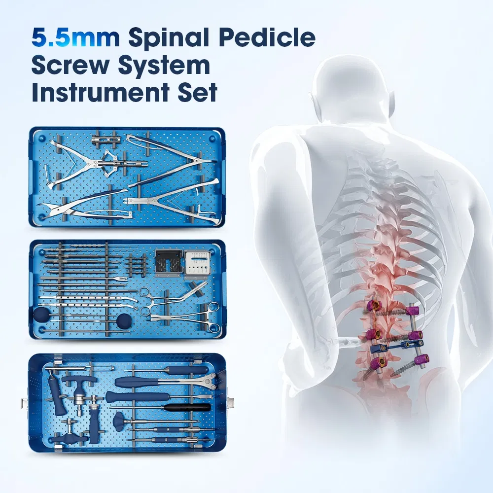 Spinal Pedicle Screw System