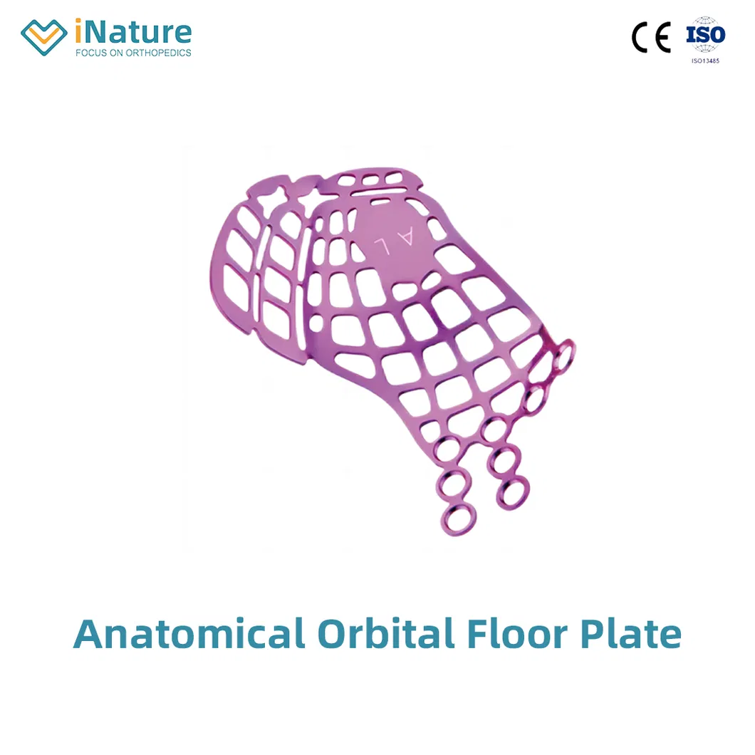 Orbital Floor Plate