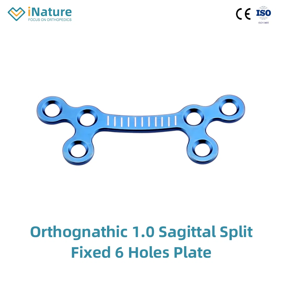 Orthopedic Maxillofacial Orthognathic 1.0 Sagittal Split Fixed 4 Holes Plate Implant