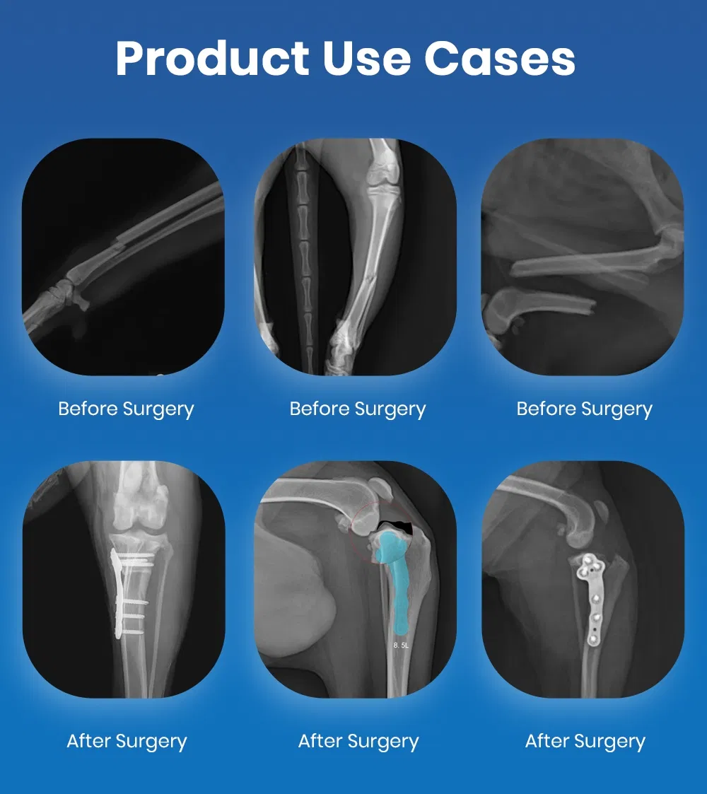 Clinical Application