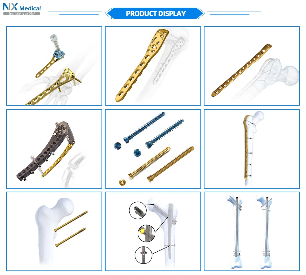Titanium Plate Variety