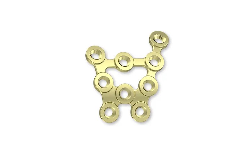 Implant Locking Plate 1