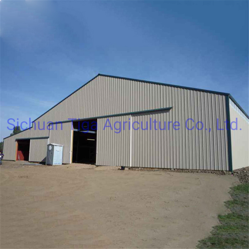 Professional Design Fireproof Long Span Light Frame Aircraft Shed Prefabricated Steel Structure Hangar
