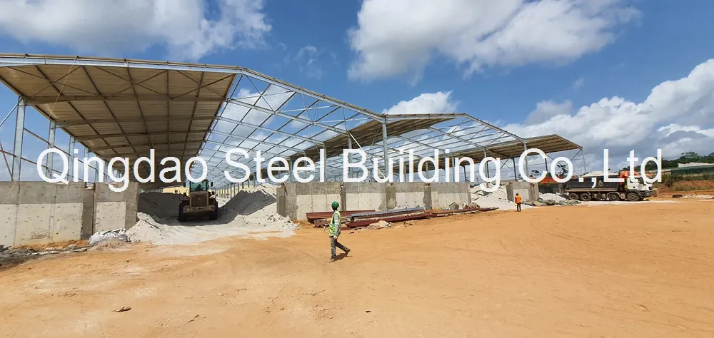 Warehouse Africa Case 1