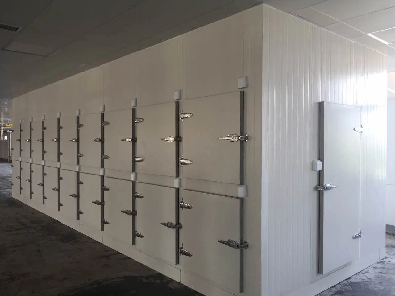 Light Metal Construction Steel Structure Cold Storage Prefab Steel Structure Building