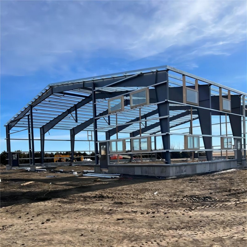 Modular Steel Building Systems for Workshops, Hangars, and Agricultural Facilities with Custom Design Options