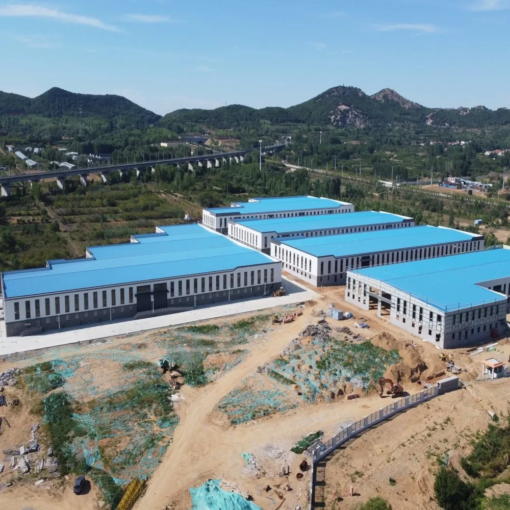 Fast Assembly Steel Structure Steel Color Wall Panels Prefab Galvanized Workshop