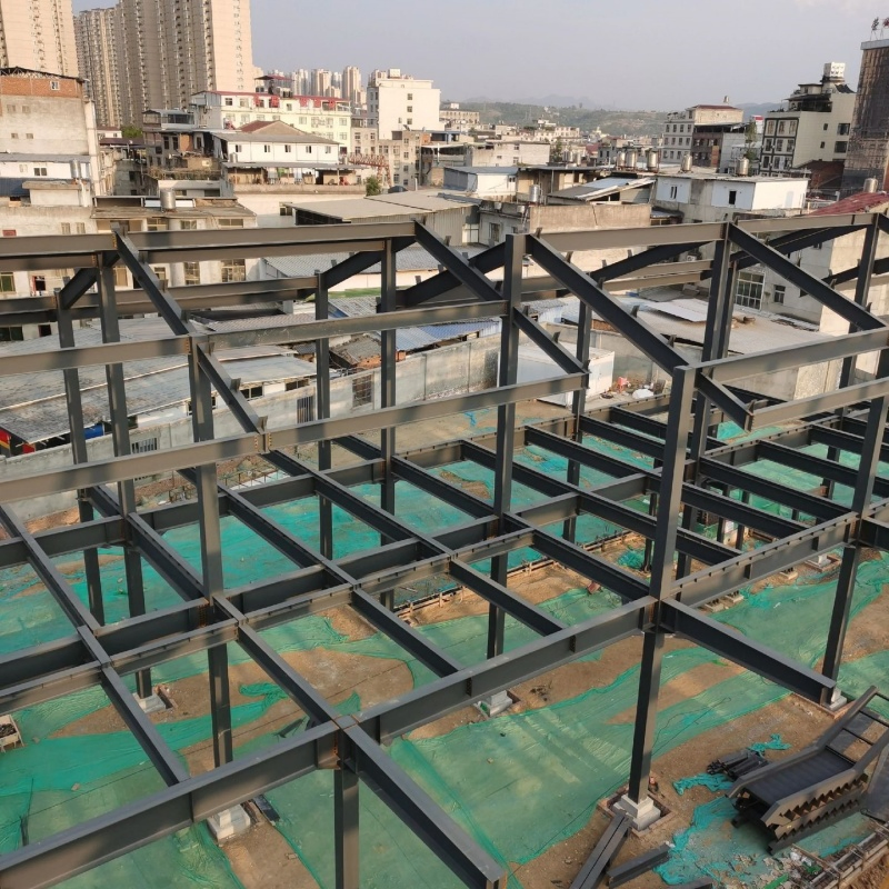 Cold Chain Food Storage Freezer Steel Structure Warehouse Building