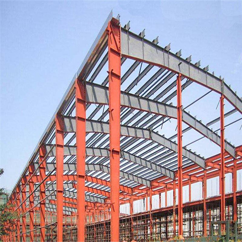 Customized Steel Structure Building Vegetable Processing Plant