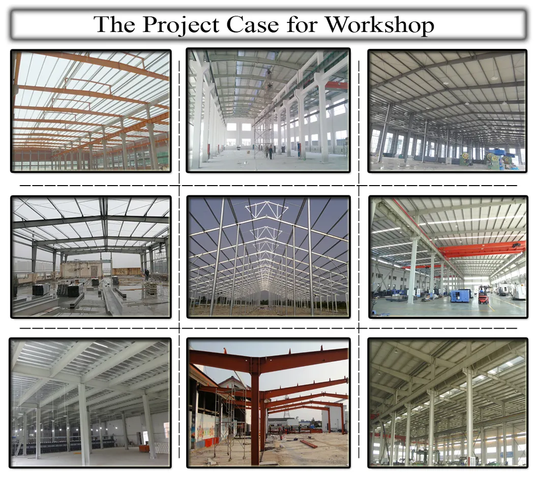 Light Steel Structure Building