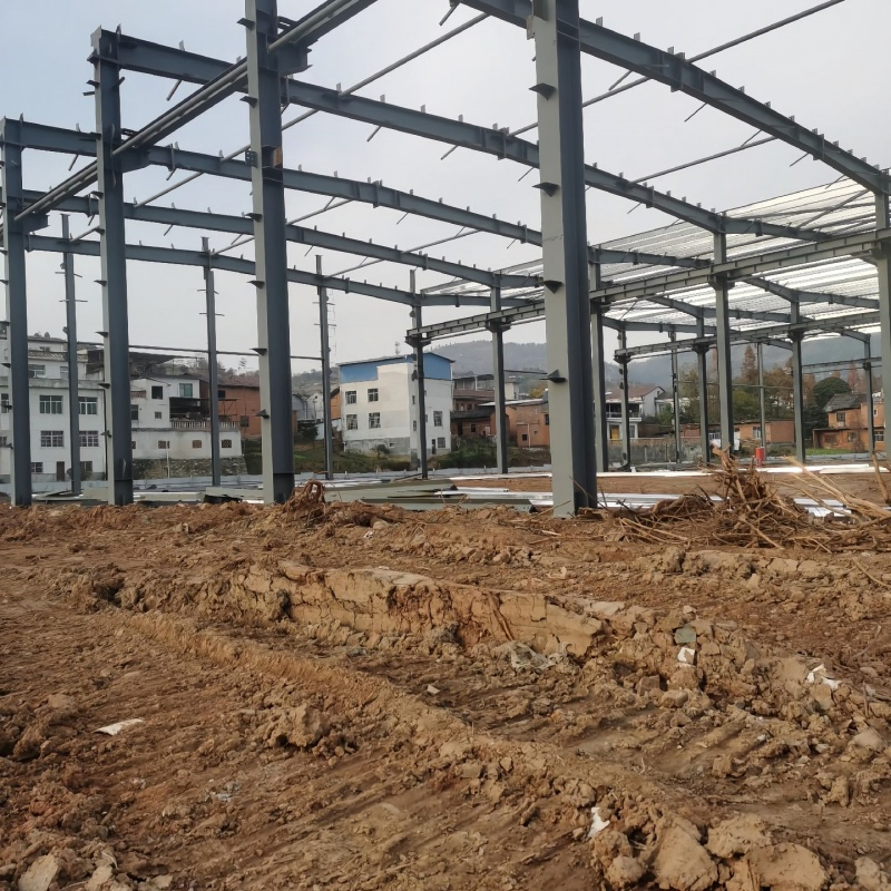 Cold Chain Food Storage Freezer Steel Structure Warehouse Building