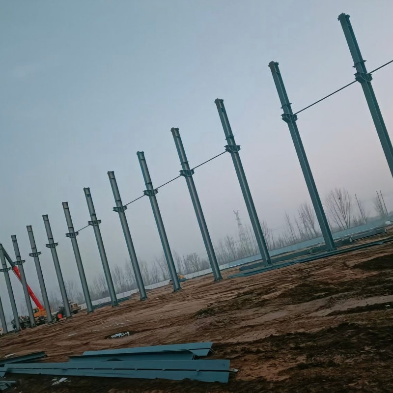 Cold Chain Storage Steel Structure Storage Building for Food