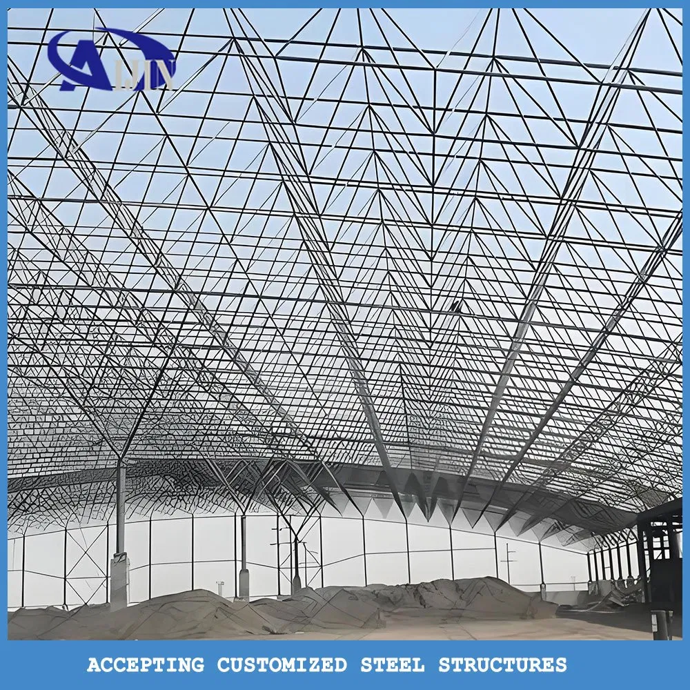 Q355 Steel Grade Aircraft Storage Hangar, Colorbond Cladding Prefab Maintenance Facility