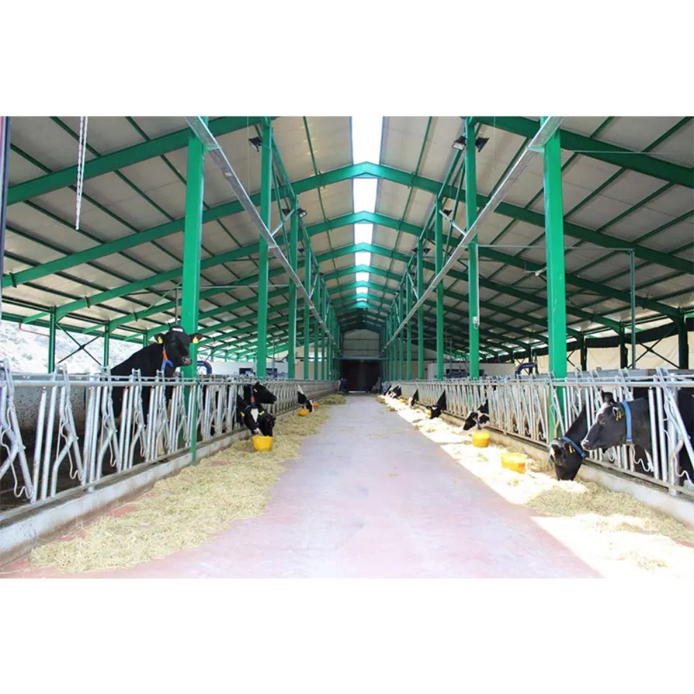 Cost-Effective Prefabricated Steel Structure Buildings Suitable for Agricultural Greenhouses and Farm Facilities