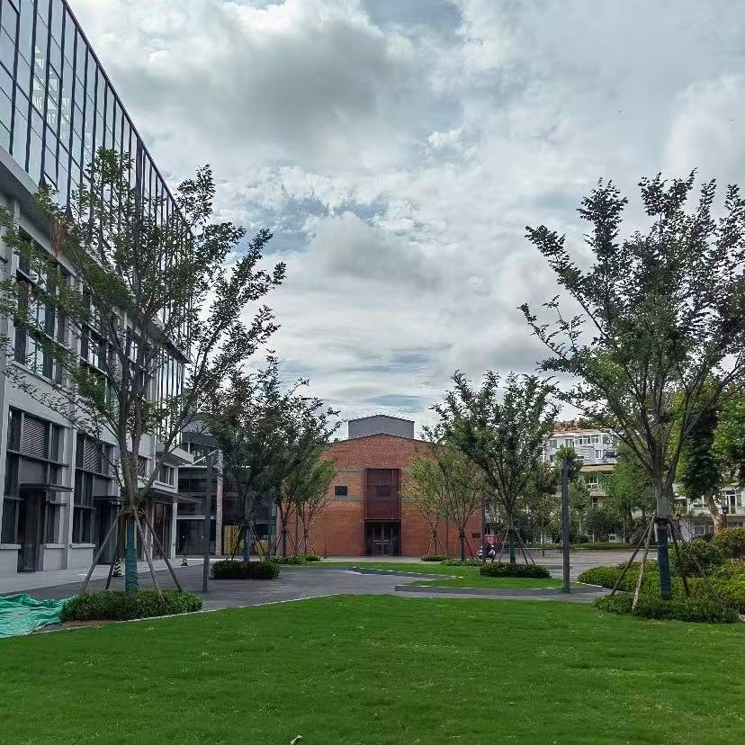 Public Infrastructure Steel Buildings Durable Steel Structure Plant at Affordable Cost