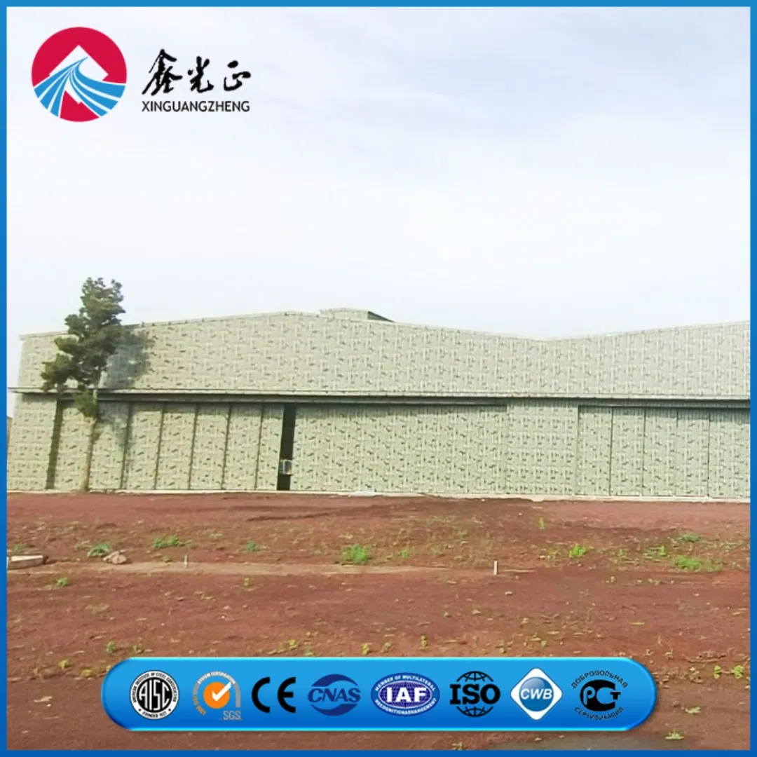Large Capacity Storage Functional Aviation Building Prefabricated Steel Structure Aircraft Hangar