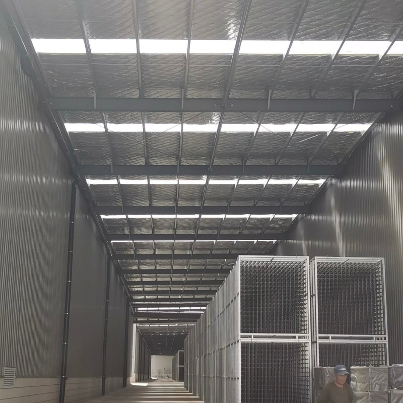 Cold Chain Storage Steel Structure Storage Building for Food