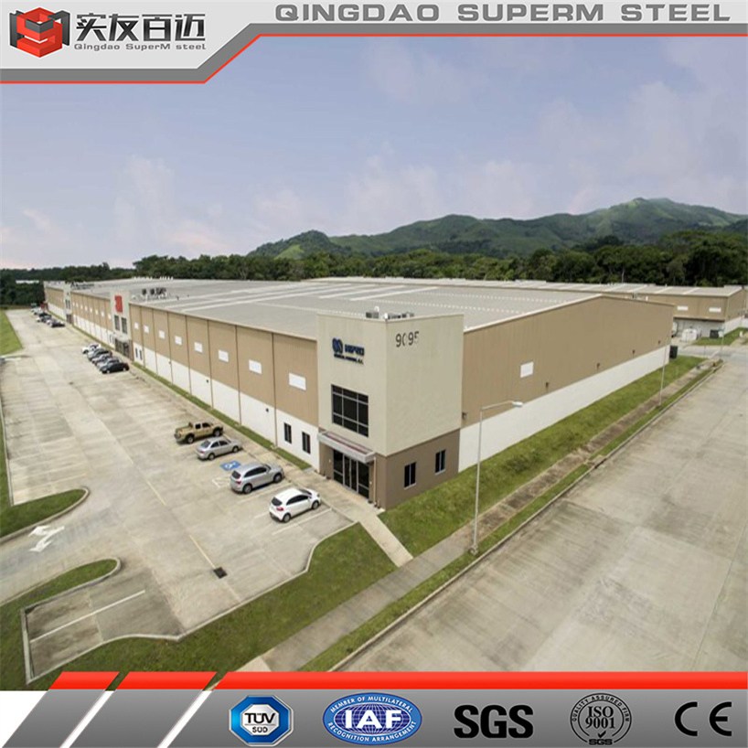 Light Steel Structure Frame Residential House Industrial Steel Storage Warehouse /Steel Cold Room/Production Workshop Buildings for Sale