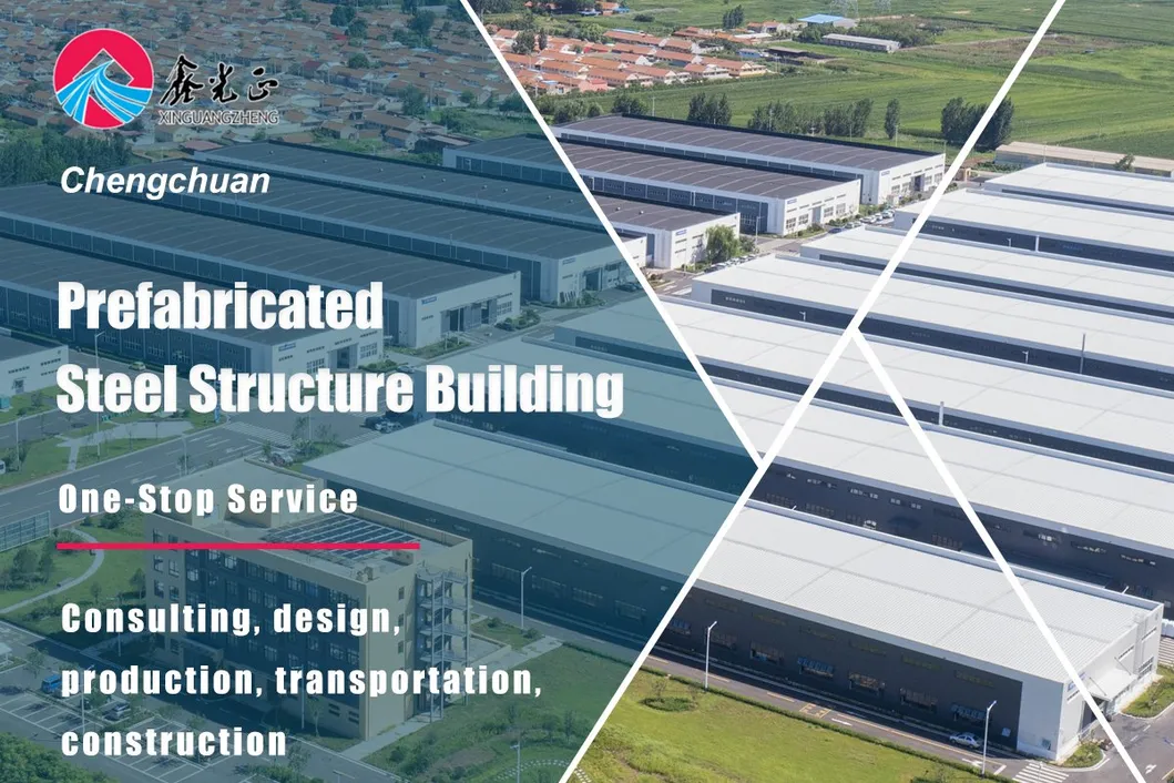 Steel Structure Construction