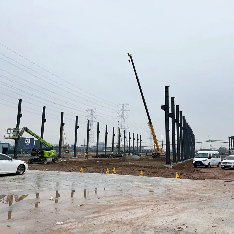 Cold Chain Logistics Refrigerated Storage Steel Structure Warehouse Building