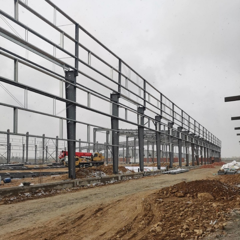 Multi Span Industrial Steel Structure Storage Building for Logistics