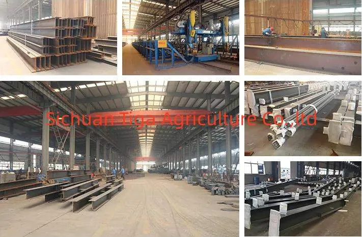 Steel Structure Warehouse
